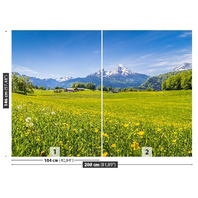 Papel de parede Prados alpinos