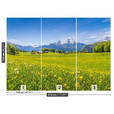 Papel de parede Prados alpinos