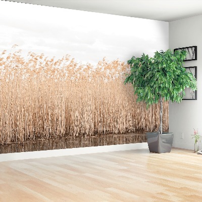 Papel de parede Lagoa de Juncos