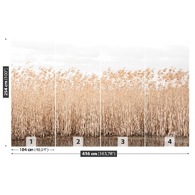 Papel de parede Lagoa de Juncos