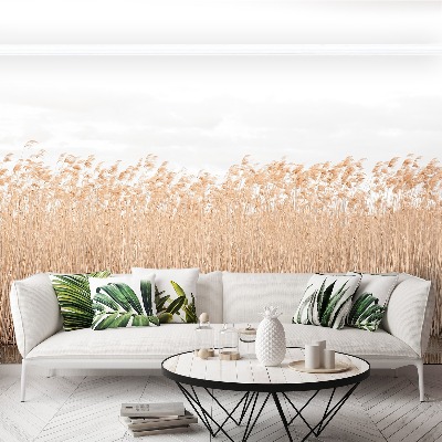 Papel de parede Lagoa de Juncos