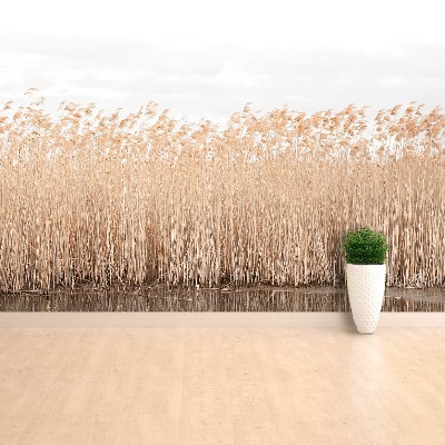 Papel de parede Lagoa de Juncos