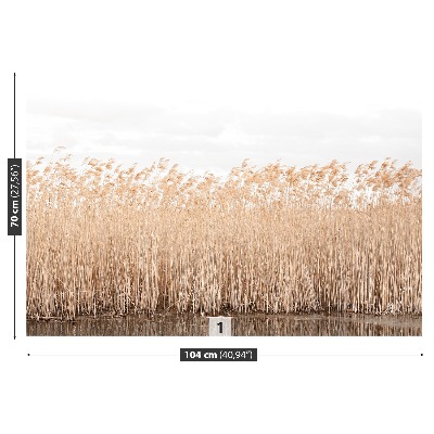 Papel de parede Lagoa de Juncos