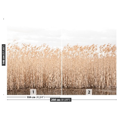 Papel de parede Lagoa de Juncos