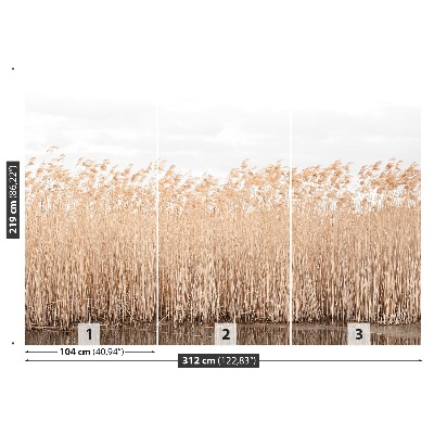 Papel de parede Lagoa de Juncos