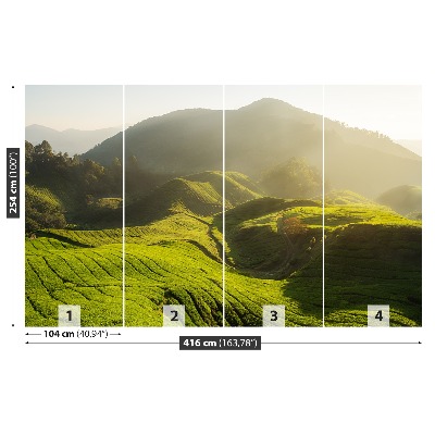 Papel de parede Plantação de chá