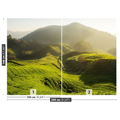 Papel de parede Plantação de chá