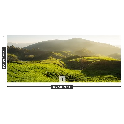 Papel de parede Plantação de chá