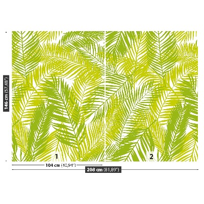 Papel de parede Folhas de palmeira