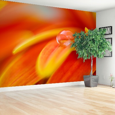 Papel de parede Uma gota de água