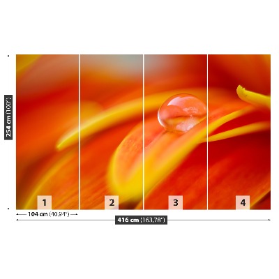 Papel de parede Uma gota de água