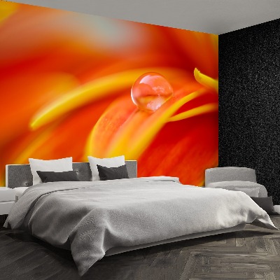 Papel de parede Uma gota de água