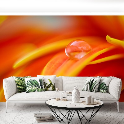 Papel de parede Uma gota de água