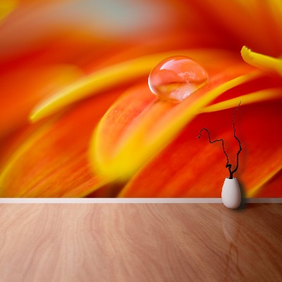 Papel de parede Uma gota de água