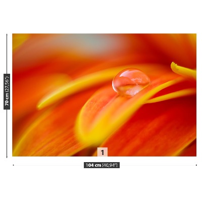 Papel de parede Uma gota de água