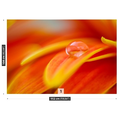 Papel de parede Uma gota de água