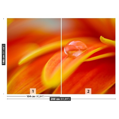 Papel de parede Uma gota de água