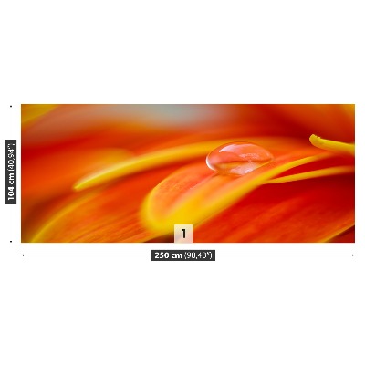 Papel de parede Uma gota de água