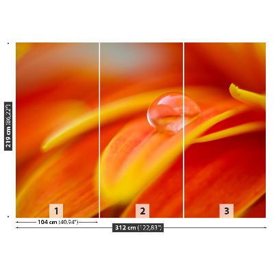 Papel de parede Uma gota de água