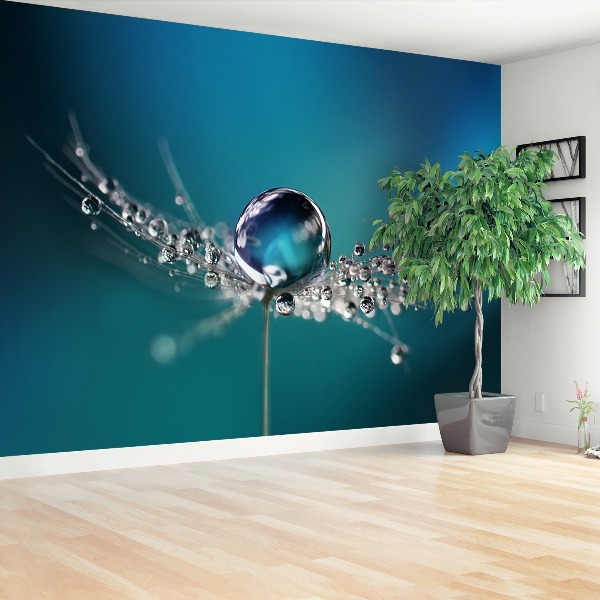 Papel de parede Gota de dente-de-leão