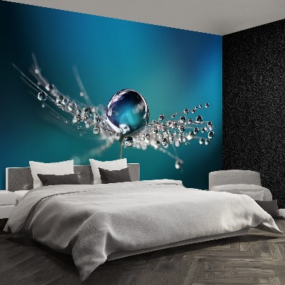 Papel de parede Gota de dente-de-leão