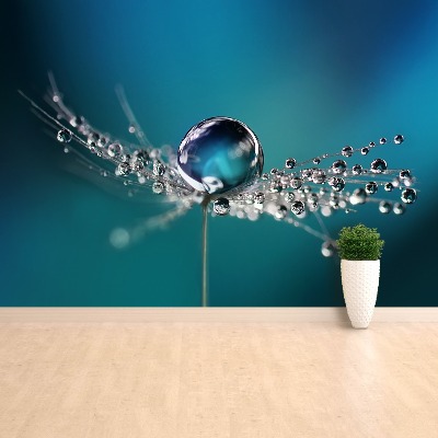 Papel de parede Gota de dente-de-leão