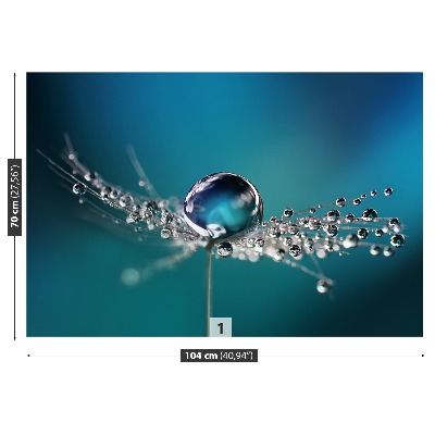 Papel de parede Gota de dente-de-leão