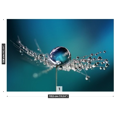 Papel de parede Gota de dente-de-leão