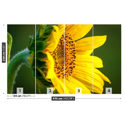 Mural de parede Girassol