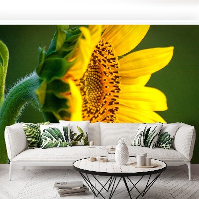 Mural de parede Girassol