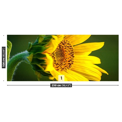 Mural de parede Girassol