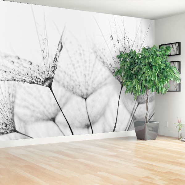 Papel de parede Gotas de dente-de-leão