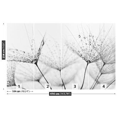 Papel de parede Gotas de dente-de-leão