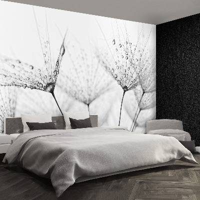 Papel de parede Gotas de dente-de-leão