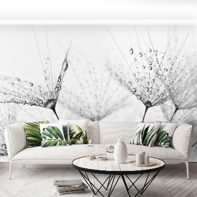 Papel de parede Gotas de dente-de-leão