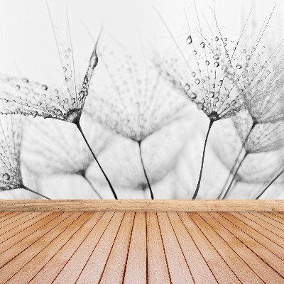 Papel de parede Gotas de dente-de-leão