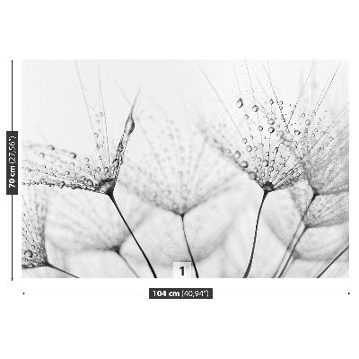 Papel de parede Gotas de dente-de-leão