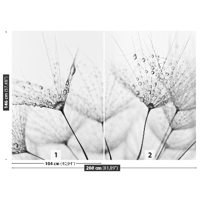 Papel de parede Gotas de dente-de-leão