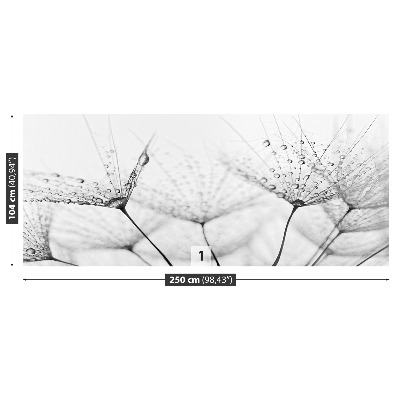 Papel de parede Gotas de dente-de-leão