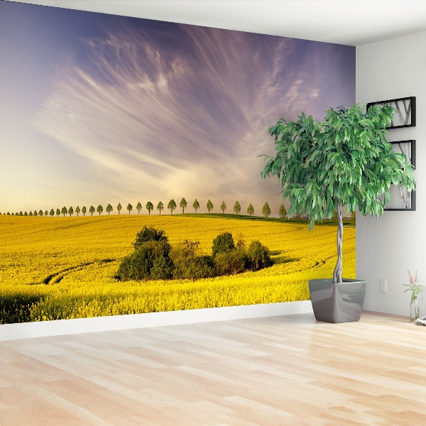 Mural de parede Campos de colza