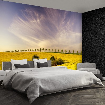 Mural de parede Campos de colza