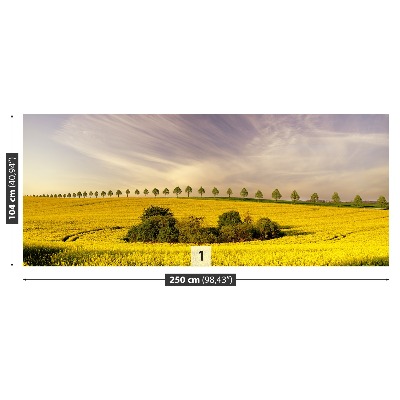 Mural de parede Campos de colza