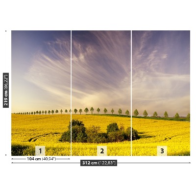 Mural de parede Campos de colza