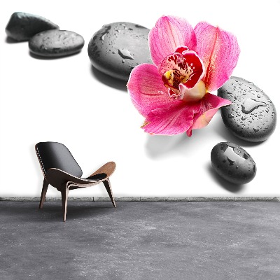 Mural de parede Pedras de orquídea