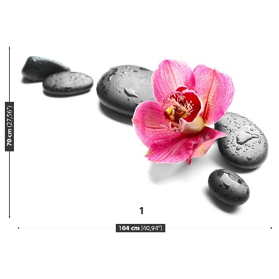 Mural de parede Pedras de orquídea