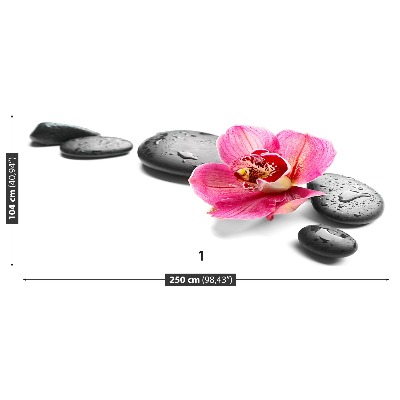 Mural de parede Pedras de orquídea