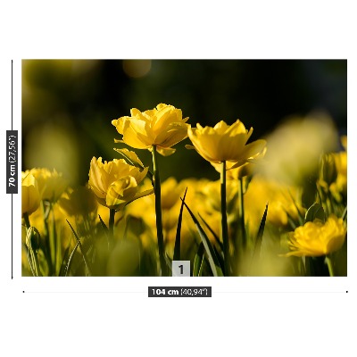 Mural de parede Tulipa Amarela