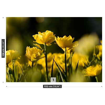 Mural de parede Tulipa Amarela