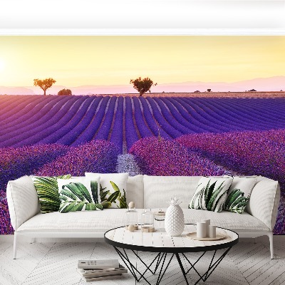 Mural de parede Campos de lavanda