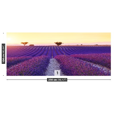 Mural de parede Campos de lavanda